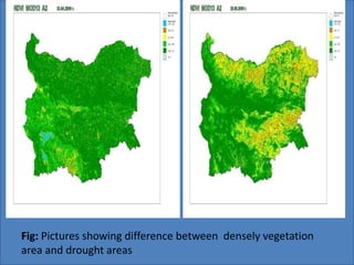 Fig: Pictures showing difference between densely vegetation 
area and drought areas 
 