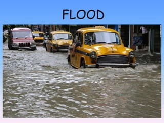 FLOOD
 
