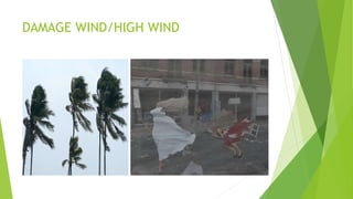 DAMAGE WIND/HIGH WIND
 
