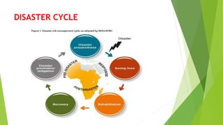 DISASTER CYCLE
 