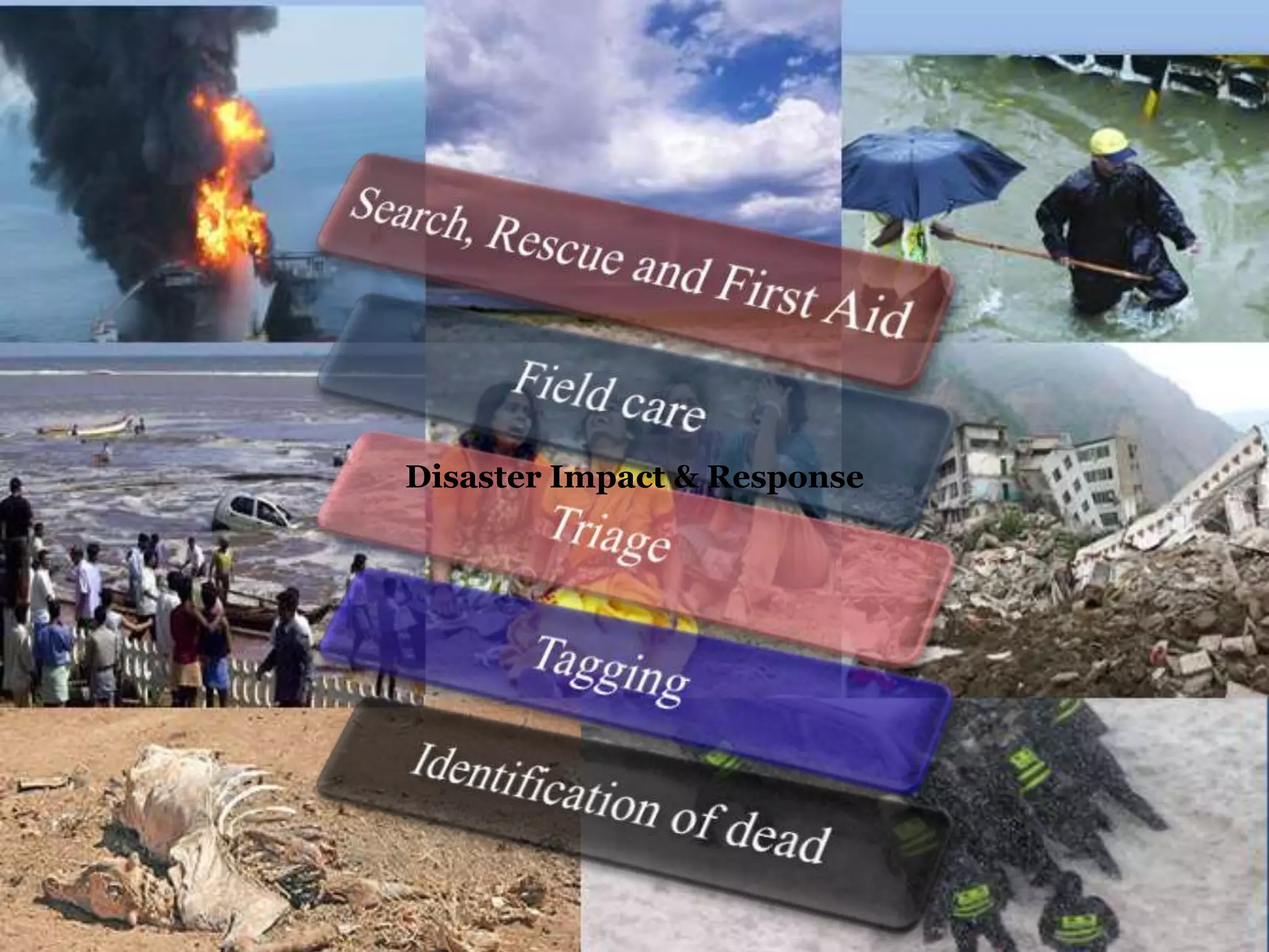 Disaster Impact & Response
 