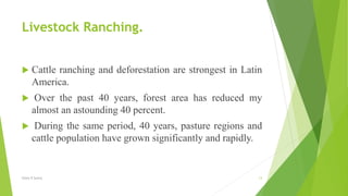 Livestock Ranching.
 Cattle ranching and deforestation are strongest in Latin
America.
 Over the past 40 years, forest area has reduced my
almost an astounding 40 percent.
 During the same period, 40 years, pasture regions and
cattle population have grown significantly and rapidly.
Glory K Sunny 13
 