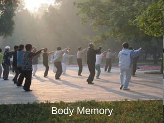 Body Memory 