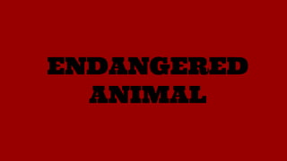 ENDANGERED
ANIMAL
 