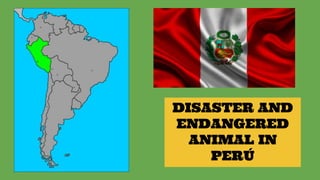 DISASTER AND
ENDANGERED
ANIMAL IN
PERÚ
 