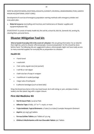 Disaster Management Kit Example Disaster managemant | DOCX