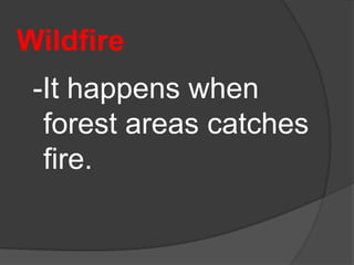 Wildfire
 -It happens when
  forest areas catches
  fire.
 
