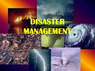DISASTER
MANAGEMENT

 