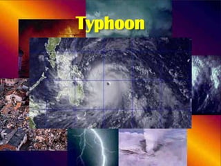 Typhoon

 