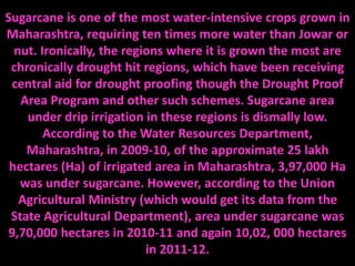 Sugarcane is one of the most water-intensive crops grown in
Maharashtra, requiring ten times more water than Jowar or
nut. Ironically, the regions where it is grown the most are
chronically drought hit regions, which have been receiving
central aid for drought proofing though the Drought Proof
Area Program and other such schemes. Sugarcane area
under drip irrigation in these regions is dismally low.
According to the Water Resources Department,
Maharashtra, in 2009-10, of the approximate 25 lakh
hectares (Ha) of irrigated area in Maharashtra, 3,97,000 Ha
was under sugarcane. However, according to the Union
Agricultural Ministry (which would get its data from the
State Agricultural Department), area under sugarcane was
9,70,000 hectares in 2010-11 and again 10,02, 000 hectares
in 2011-12.
 