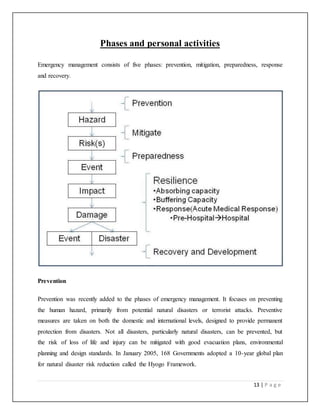 disaster management project case study
