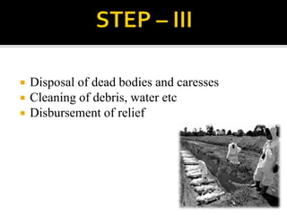 Disaster management | PPTX