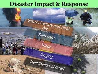 Disaster Impact & Response
20
 