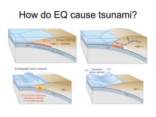How do EQ cause tsunami?
 