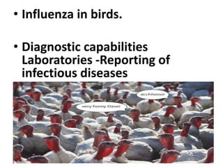 • Influenza in birds.
• Diagnostic capabilities
Laboratories -Reporting of
infectious diseases
 