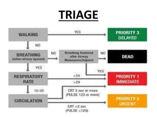 TRIAGE
 