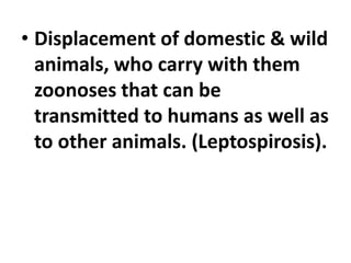 • Displacement of domestic & wild
animals, who carry with them
zoonoses that can be
transmitted to humans as well as
to other animals. (Leptospirosis).
 