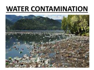 WATER CONTAMINATION
 