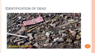 IDENTIFICATION OF DEAD
18Tsunami India 2004
 