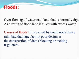 Disaster management btech civil engineering .ppt