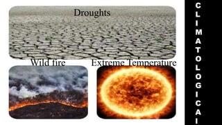 Droughts
Wild fire Extreme Temperature
C
L
I
M
A
T
O
L
O
G
I
C
A
l
 