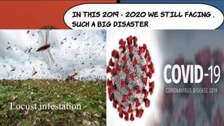 Locust infestation
 