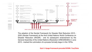 Disaster Management Basics | PDF