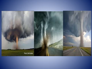 Disaster management Cyclone.pptx