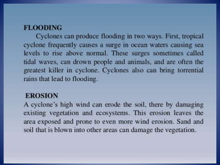 Disaster management Cyclone.pptx