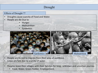 Drought
• Draughts cause scarcity of Food and Water.
• People are die Due to
• Hunger
• Malnutrition
• Epidemics
Effects of Drought ??
MalnutritionEpidemics
• People are forced to migrate from their area of residence.
• Crops are fails due to scarcity of water.
• Peoples leave their villages with their families for long , unknown and uncertain journey
• Food, Water, Green Fodder, Employement.
 