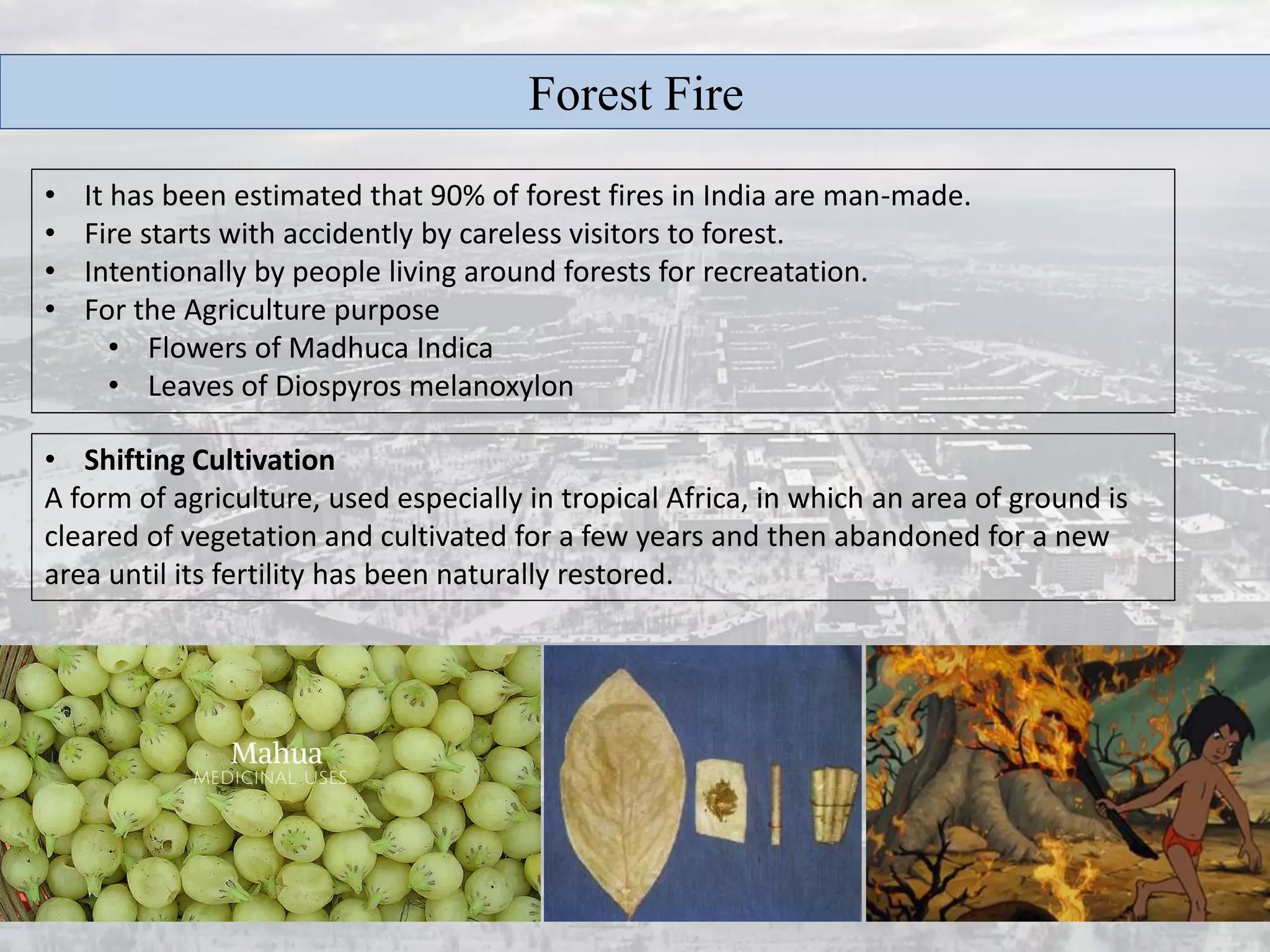 Disaster management forest fire | PDF