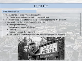 Disaster management forest fire | PDF