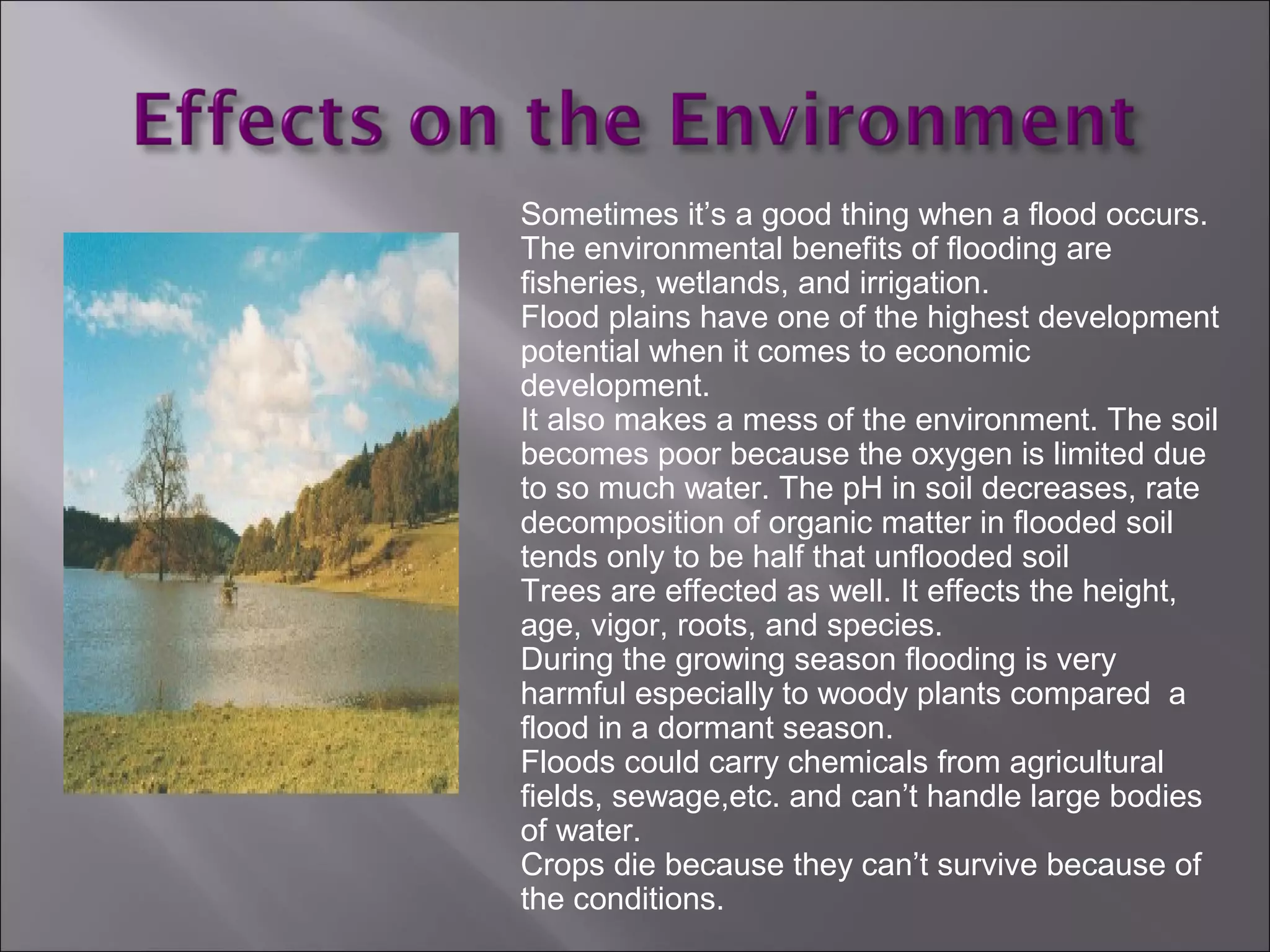 Sometimes it’s a good thing when a flood occurs.
The environmental benefits of flooding are
fisheries, wetlands, and irrigation.
Flood plains have one of the highest development
potential when it comes to economic
development.
It also makes a mess of the environment. The soil
becomes poor because the oxygen is limited due
to so much water. The pH in soil decreases, rate
decomposition of organic matter in flooded soil
tends only to be half that unflooded soil
Trees are effected as well. It effects the height,
age, vigor, roots, and species.
During the growing season flooding is very
harmful especially to woody plants compared a
flood in a dormant season.
Floods could carry chemicals from agricultural
fields, sewage,etc. and can’t handle large bodies
of water.
Crops die because they can’t survive because of
the conditions.
 