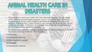 Disaster management presentation