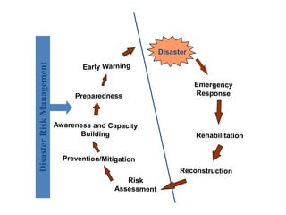 Disaster management system | PPTX