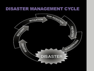 Disaster Management Ecosystem DISASTER MANAGEMENT TO DEVELOP ENVIROMENT LIFE FOR PROTECT.pdf