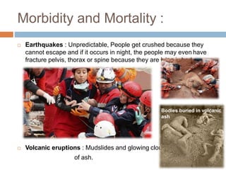 Morbidity and Mortality :
 Earthquakes : Unpredictable, People get crushed because they
cannot escape and if it occurs in night, the people may even have
fracture pelvis, thorax or spine because they are lying in bed
 Volcanic eruptions : Mudslides and glowing clouds
of ash.
Bodies buried in volcanic
ash
 