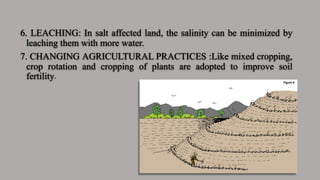 6. LEACHING: In salt affected land, the salinity can be minimized by
leaching them with more water.
7. CHANGING AGRICULTURAL PRACTICES :Like mixed cropping,
crop rotation and cropping of plants are adopted to improve soil
fertility.
 