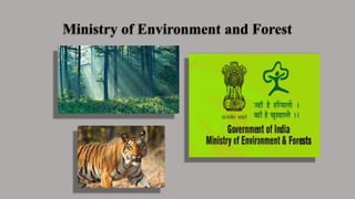 Ministry of Environment and Forest
 