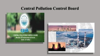 Central Pollution Control Board
 
