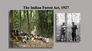 The Indian Forest Act, 1927
 