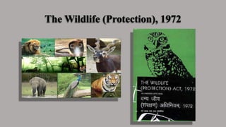 The Wildlife (Protection), 1972
 