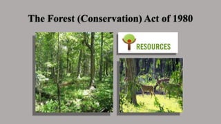 The Forest (Conservation) Act of 1980
 