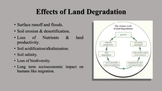 Effects of Land Degradation
• Surface runoff and floods.
• Soil erosion & desertification.
• Loss of Nutrients & land
productivity.
• Soil acidification/alkalinisation.
• Soil salinity.
• Loss of biodiversity.
• Long term socioeconomic impact on
humans like migration.
 