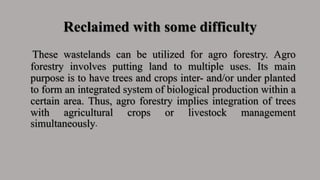 Reclaimed with some difficulty
These wastelands can be utilized for agro forestry. Agro
forestry involves putting land to multiple uses. Its main
purpose is to have trees and crops inter- and/or under planted
to form an integrated system of biological production within a
certain area. Thus, agro forestry implies integration of trees
with agricultural crops or livestock management
simultaneously.
 