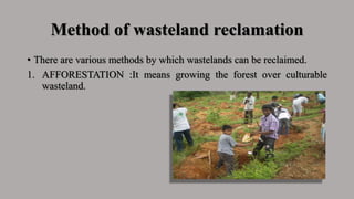 Method of wasteland reclamation
• There are various methods by which wastelands can be reclaimed.
1. AFFORESTATION :It means growing the forest over culturable
wasteland.
 