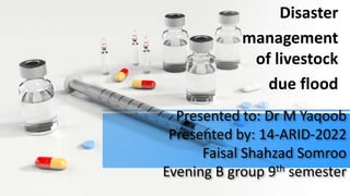 Presented to: Dr M Yaqoob
Presented by: 14-ARID-2022
Faisal Shahzad Somroo
Evening B group 9th semester
Disaster
management
of livestock
due flood
 
