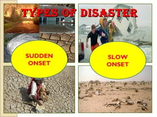Disaster Management | PPT