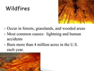  Occur in forests, grasslands, and wooded areas
 Most common causes: lightning and human
accidents
 Burn more than 4 million acres in the U.S.
each year.
 