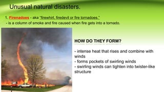 Unusual natural disasters.
1. Firenadoes - aka “firewhirl, firedevil or fire tornadoes.”
- is a column of smoke and fire caused when fire gets into a tornado.
HOW DO THEY FORM?
- intense heat that rises and combine with
winds
- forms pockets of swirling winds
- swirling winds can tighten into twister-like
structure
 